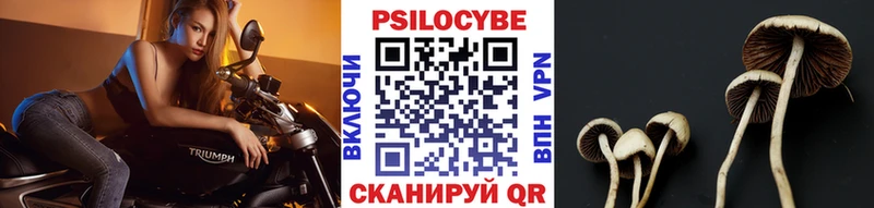 гидра маркетплейс  Пятигорск  Галлюциногенные грибы GOLDEN TEACHER 