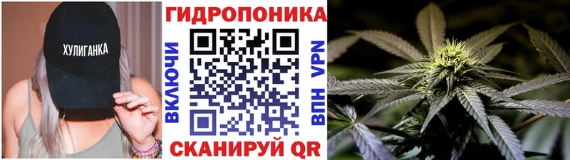 Шишки марихуана Ganja Пятигорск